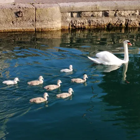 33 * Lazise