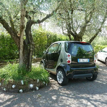 33 * Lazise